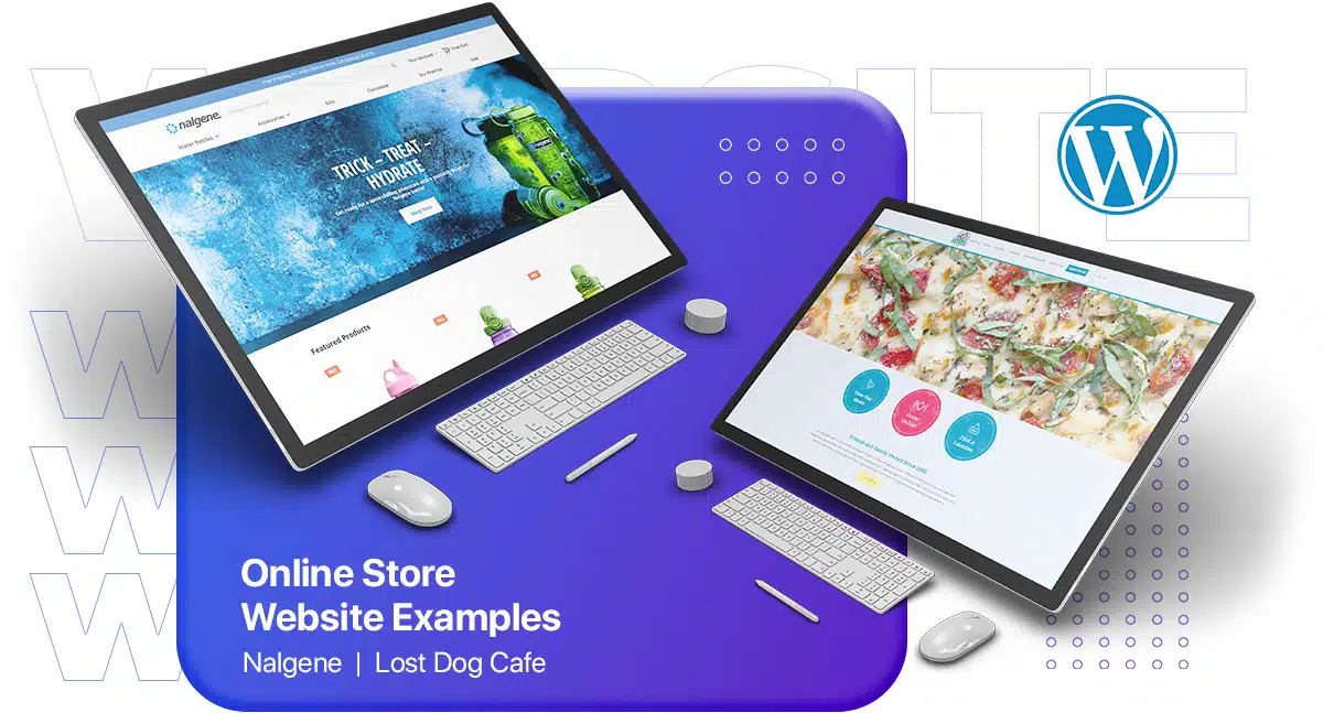 online store wordpress website examples